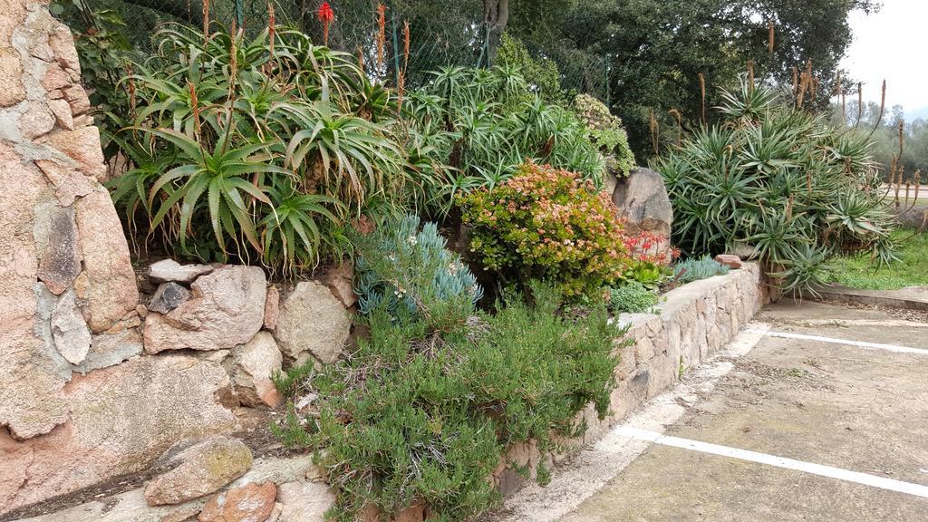 Corsica Hostel Porto-Vecchio, Partie Dortoirs Eksteriør bilde